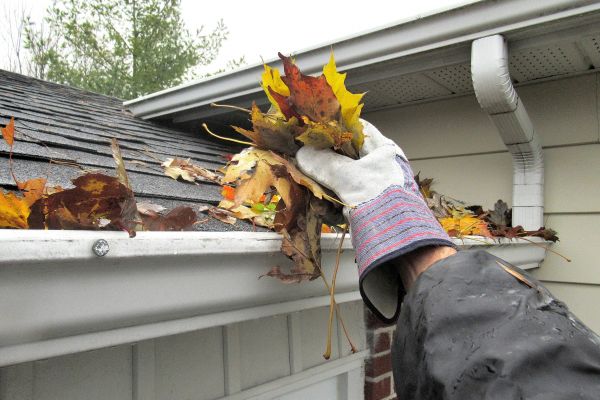 Eaves Cleaning in Mandeville